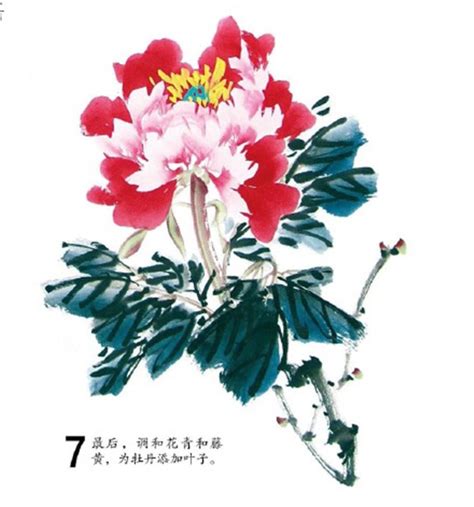 牡丹花畫法|【国画教程】怎样画牡丹？史上最全三十六技法！